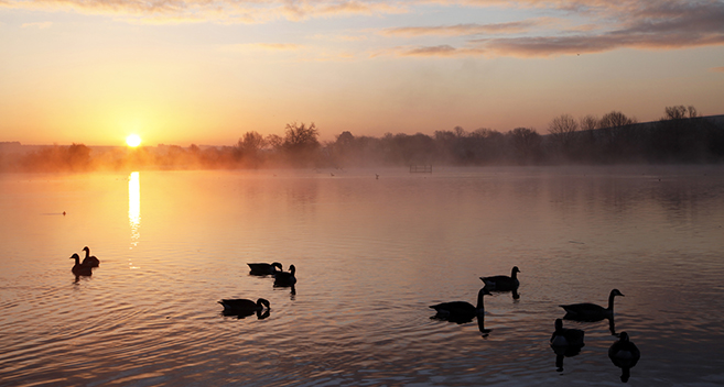 Langford Lakes